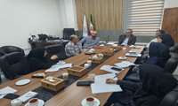 Holding of the Specialized Committee of the International Affairs Deputy (June 9, 2025)